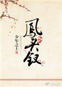 鳳頭釵小说封面